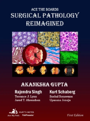 Home Ace the Boards: Surgical Pathology Reimagined: Volume 1 (Ace My Path)