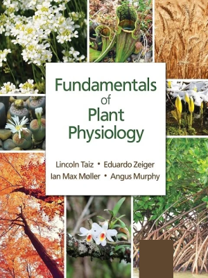 Fundamentals of Plant Physiology 1st Edition