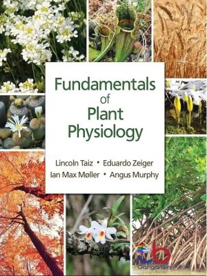 Fundamentals of Plant Physiology 1st Edition