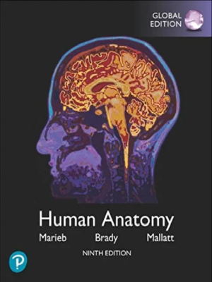 Human Anatomy 9th Edition