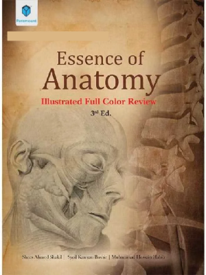 Essence Anatomy 3rd Edition