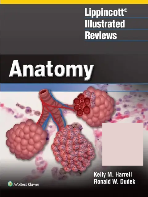 Lippincott Illustrated Reviews Anatomy