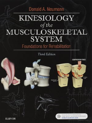 Kinesiology of the Musculoskeletal System 3rd Edition by Donald A. Neumann