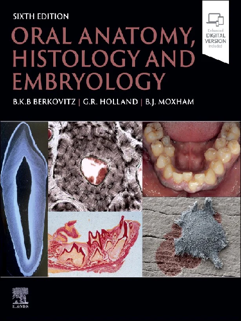 Oral Anatomy Histology and Embryology 6th Edition 2025 | Complete Guide for Exam Success