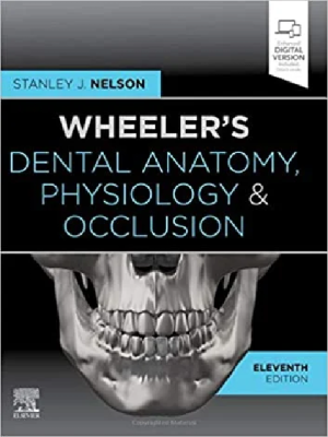 Wheelers Dental Anatomy Physiology & Occlusion | Complete Guide for Exam Success