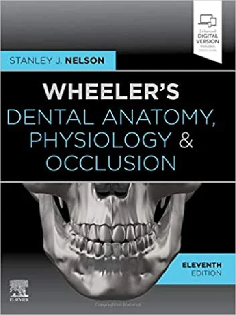 Wheelers Dental Anatomy Physiology & Occlusion | Complete Guide for Exam Success